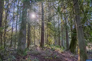 27914 Walkerwood Ln, Sweet Home, OR 97386 - Photo 38