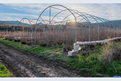 727 SW Stringtown Rd, Forest Grove, OR 97116 - Photo 16