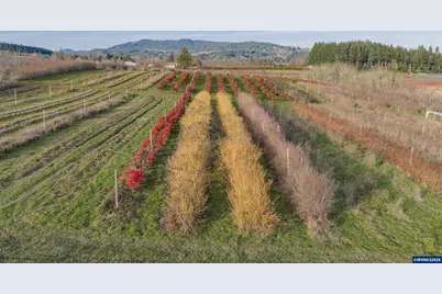 727 SW Stringtown Rd, Forest Grove, OR 97116 - Photo 34