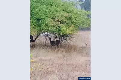 826 SW Cherry St, Willamina, OR 97396 - Photo 2