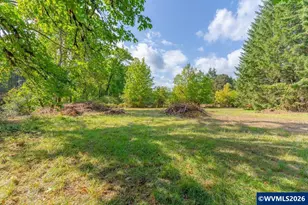 11 N Main St, Falls City, OR 97344 - Photo 4