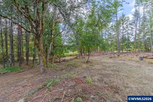 11 N Main St, Falls City, OR 97344 - Photo 6