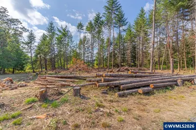 11 N Main St, Falls City, OR 97344 - Photo 6