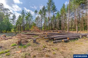 11 N Main St, Falls City, OR 97344 - Photo 6