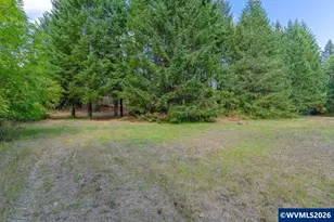 11 N Main St, Falls City, OR 97344 - Photo 8