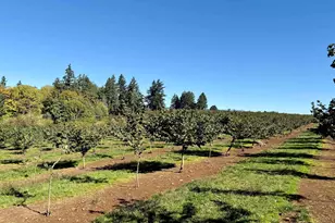 41404 Kingston Jordan Rd, Stayton, OR 97383 - Photo 38