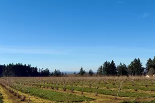 41404 Kingston Jordan Rd, Stayton, OR 97383 - Photo 48