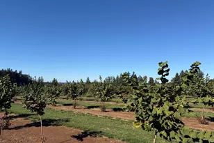 41404 Kingston Jordan Rd, Stayton, OR 97383 - Photo 34