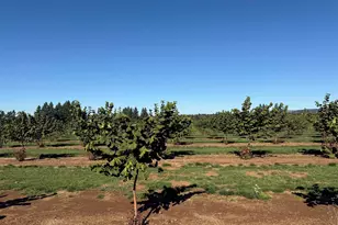 41404 Kingston Jordan Rd, Stayton, OR 97383 - Photo 8