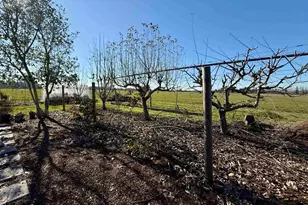 39340 Shelburn Dr, Scio, OR 97374 - Photo 32