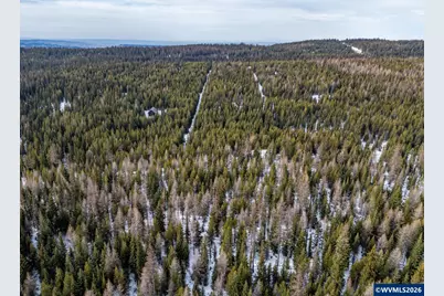 7767 Jack Pine Ln, Weston, OR 97886 - Photo 8