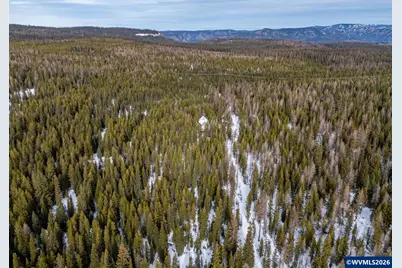 7767 Jack Pine Ln, Weston, OR 97886 - Photo 6