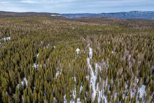 7767 Jack Pine Ln, Weston, OR 97886 - Photo 6