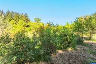 9275 SE Terrace View Ct, Amity, OR 97101 - Photo 32