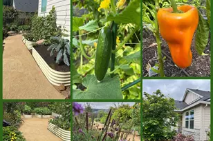 807 Ike Mooney Rd NE, Silverton, OR 97381 - Photo 34