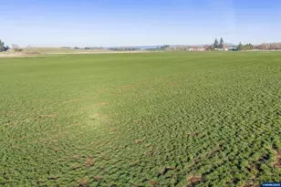 39986 Gisler Rd, Scio, OR 97374 - Photo 12