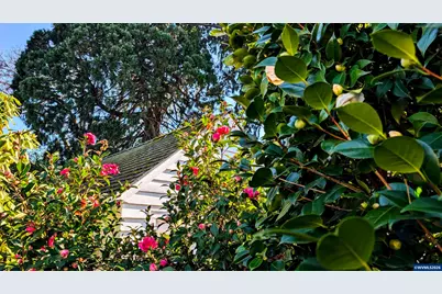 3062 NW Jackson Av, Corvallis, OR 97330 - Photo 8