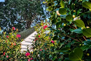 3062 NW Jackson Ave, Corvallis, OR 97330 - Photo 8