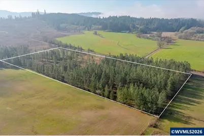 0060356 Tax Lot Old Bellinger Scale Rd, Lebanon, OR 97355 - Photo 12