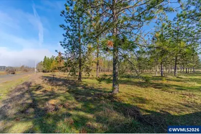 0060356 Tax Lot Old Bellinger Scale Rd, Lebanon, OR 97355 - Photo 6