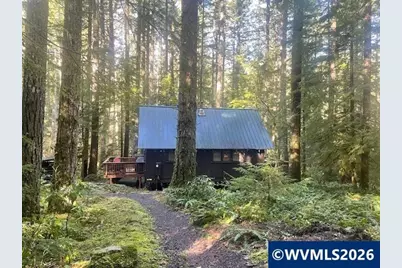 Stahlman 38B Usfs 049 Rd, Detroit, OR 97342 - Photo 38