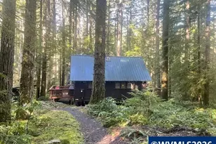 Stahlman 38B Usfs 049 Rd, Detroit, OR 97342 - Photo 38