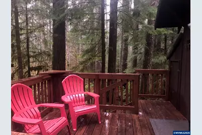 Stahlman 38B Usfs 049 Rd, Detroit, OR 97342 - Photo 6