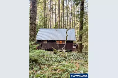 Stahlman 38B Usfs 049 Rd, Detroit, OR 97342 - Photo 12