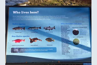 Stahlman 38B Usfs 049 Rd, Detroit, OR 97342 - Photo 40