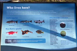 Stahlman 38B Usfs 049 Rd, Detroit, OR 97342 - Photo 40