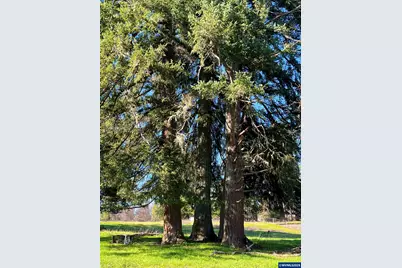 40544 McDowell Creek Dr, Lebanon, OR 97355 - Photo 38