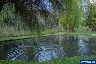 42801 Island Inn Dr, Lebanon, OR 97355 - Photo 42