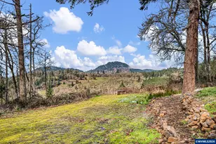 35676 Oak View Dr, Brownsville, OR 97327 - Photo 36