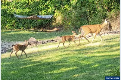 35676 Oak View Dr, Brownsville, OR 97327 - Photo 34