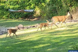 35676 Oak View Dr, Brownsville, OR 97327 - Photo 34