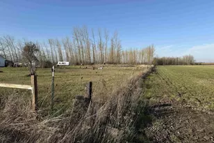 37967 Conser Rd NE, Albany, OR 97321 - Photo 4