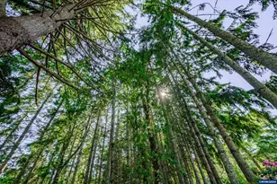 37676 Kathleen Ct, Lebanon, OR 97386 - Photo 44