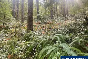 65 B Stahlman Forest Service 049 Rd, Detroit, OR 97346 - Photo 34