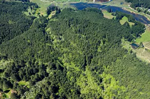 94101 N Way Ln, North Bend, OR 97459 - Photo 12