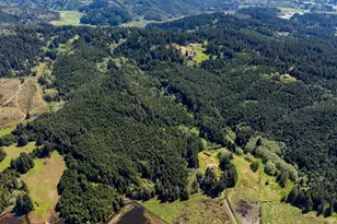 94101 N Way Ln, North Bend, OR 97459 - Photo 6