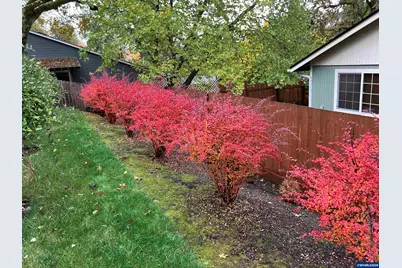 1354 Lea Ann Ct NW, Salem, OR 97304 - Photo 42