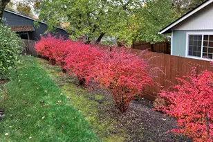 1354 Lea Ann Ct NW, Salem, OR 97304 - Photo 42