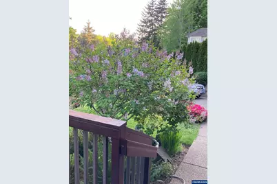 1354 Lea Ann Ct NW, Salem, OR 97304 - Photo 44