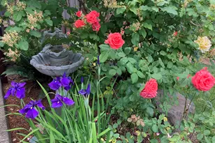 1354 Lea Ann Ct NW, Salem, OR 97304 - Photo 46