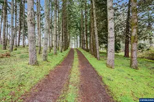 6683 Indian Springs Rd NE, Scotts Mills, OR 97375 - Photo 36