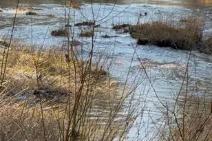 24141 Magee Rd, Monmouth, OR 97361 - Photo 38