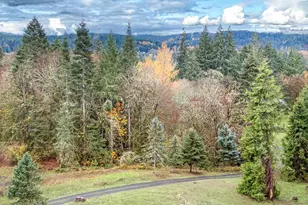 28383 Pleasant Valley Rd, Sweet Home, OR 97386 - Photo 32