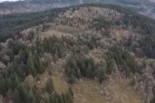 25045 Gap Rd, Brownsville, OR 97327 - Photo 40