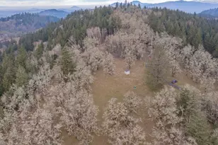 25045 Gap Rd, Brownsville, OR 97327 - Photo 44