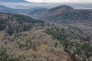 25045 Gap Rd, Brownsville, OR 97327 - Photo 42